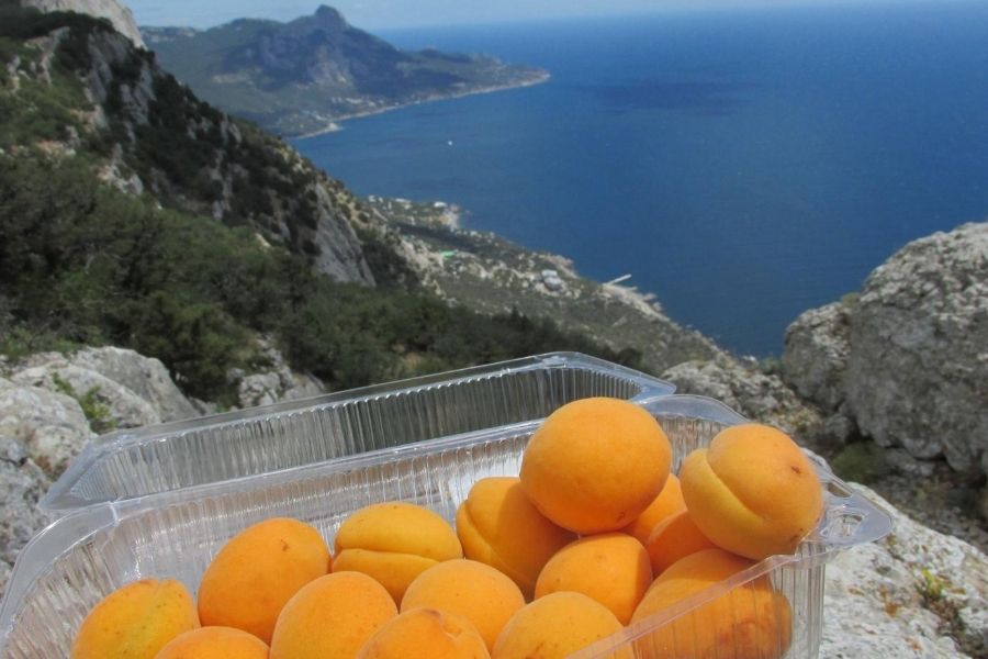 Ласпи-Балаклава, Большая Севастопольская тропа, Крым