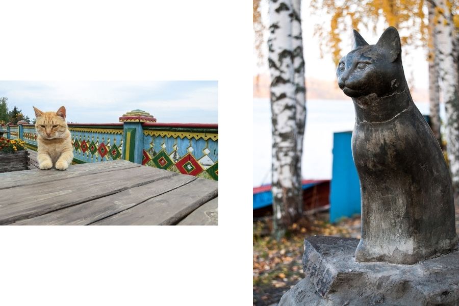 Памятник кошке Плес