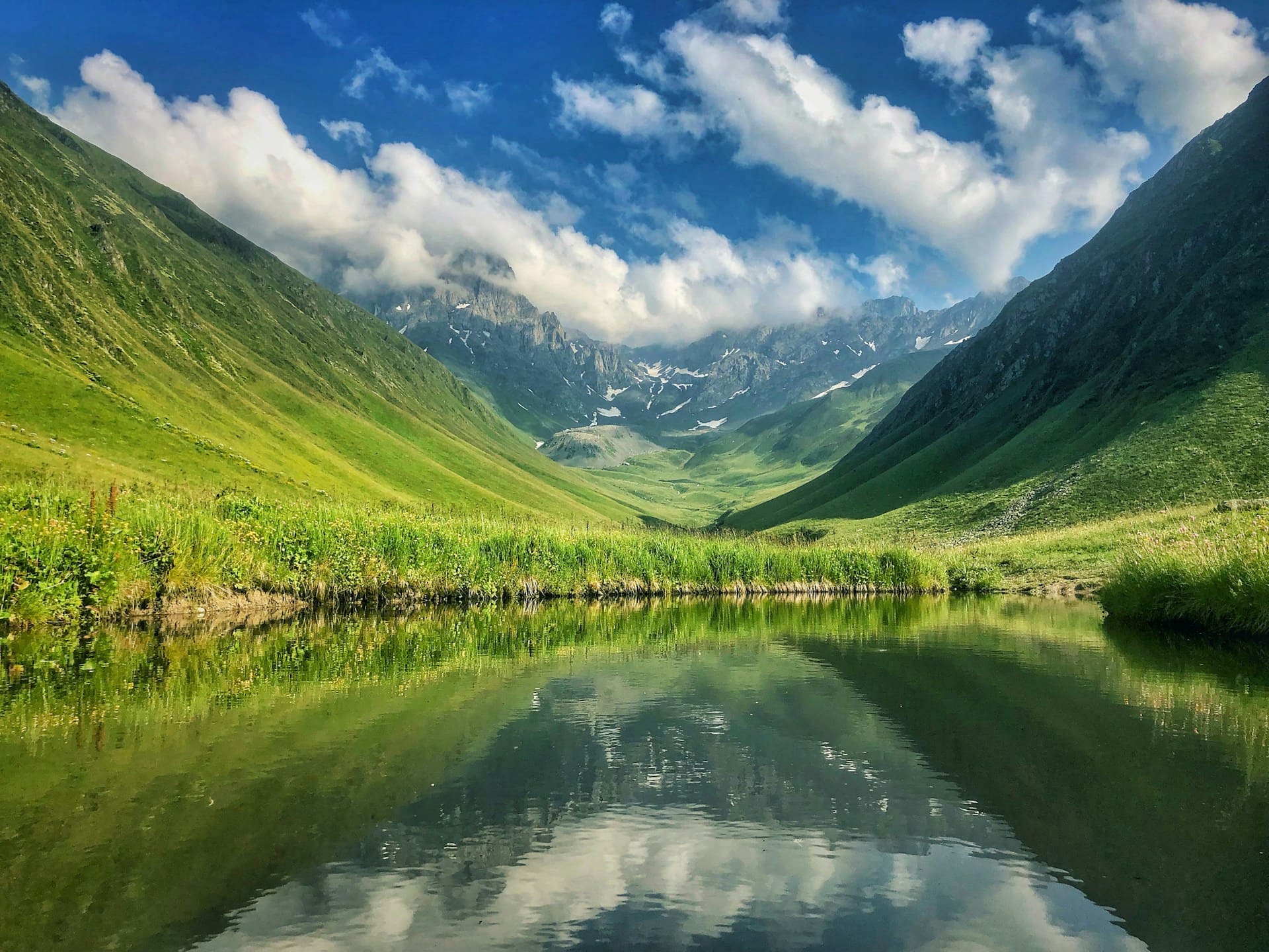 джута